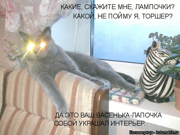 Котоматрица: КАКИЕ, СКАЖИТЕ МНЕ, ЛАМПОЧКИ? КАКОЙ, НЕ ПОЙМУ Я, ТОРШЕР? ДА ЭТО ВАШ ВАСЕНЬКА-ЛАПОЧКА СОБОЙ УКРАШАЛ ИНТЕРЬЕР.