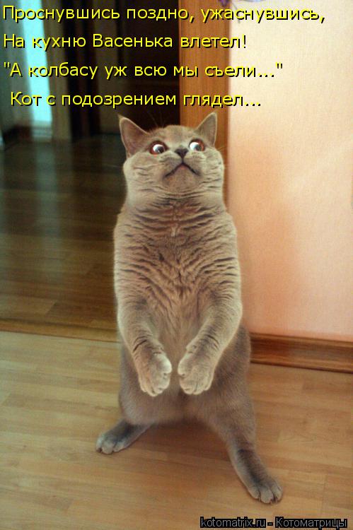 Котоматрица: Проснувшись поздно, ужаснувшись, На кухню Васенька влетел! "А колбасу уж всю мы съели..." Кот с подозрением глядел...