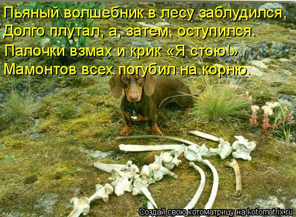 Котоматрица: Пьяный волшебник в лесу заблудился, Долго плутал, а, затем, оступился. Палочки взмах и крик «Я стою!». Мамонтов всех погубил на корню.