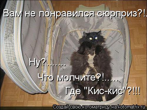 Котоматрица: Вам не понравился сюрприз?!.. Где "Кис-кис"?!!! Что молчите?!..... Ну?.......