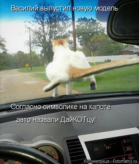 Котоматрица: Василий выпустил новую модель Согласно символике на капоте авто назвали ДайКОТцу!