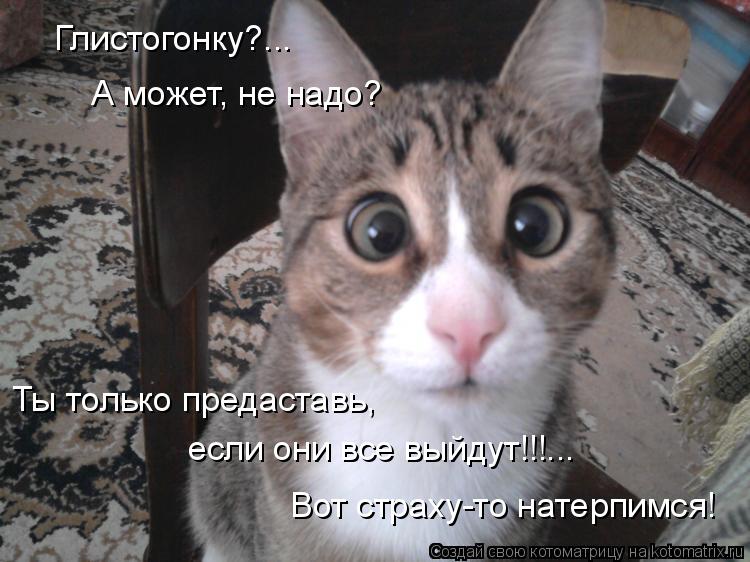 Котоматрица: Глистогонку?... А может, не надо? Ты только предаставь,  если они все выйдут!!!... Вот страху-то натерпимся!