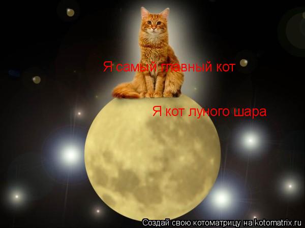 Котоматрица: Я кот луного шара Я самый главный кот