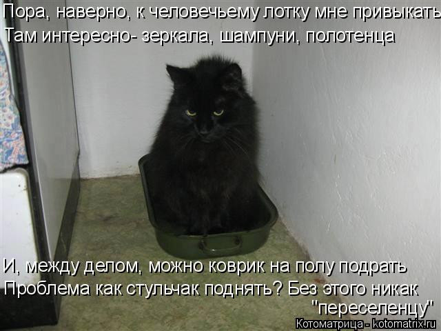 Котоматрица: Пора, наверно, к человечьему лотку мне привыкать Там интересно- зеркала, шампуни, полотенца И, между делом, можно коврик на полу подрать Проб