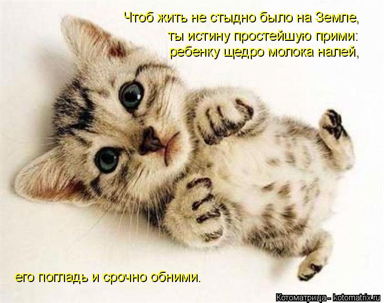 Котоматрица: Чтоб жить не стыдно было на Земле,  ты истину простейшую прими: ребенку щедро молока налей,  его погладь и срочно обними.