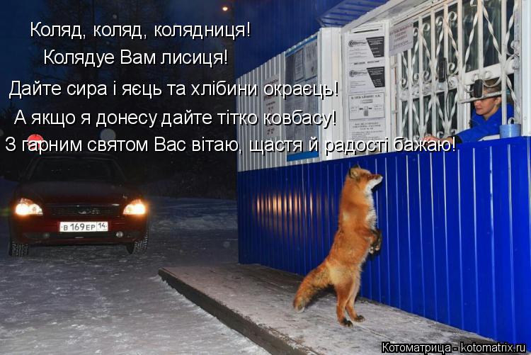Коляд, коляд, колядниця! Колядуе Вам лисиця! А якщо я донесу дайте тітко ковбасу! Дайте сира і яєць т... Котоматрица: Коляд, коляд, колядниця! Колядуе Вам лисиця! А якщо я донесу дайте тітко ковбасу! Дайте сира і яєць та хлібини окраєць! З гарним святом Вас ві