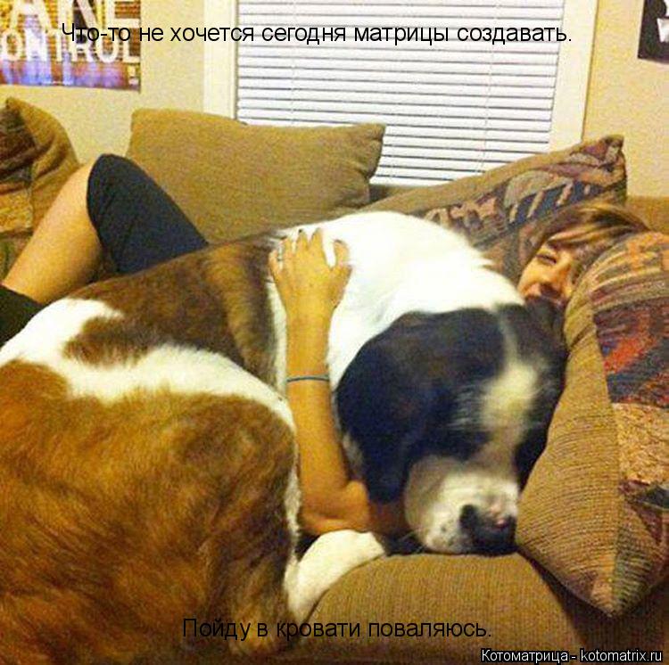 Котоматрица: Что-то не хочется сегодня матрицы создавать. Пойду в кровати поваляюсь.
