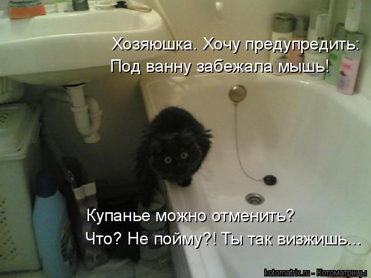 Котоматрица: Под ванну забежала мышь! Что? Не пойму?! Ты так визжишь... Хозяюшка. Хочу предупредить: Купанье можно отменить?