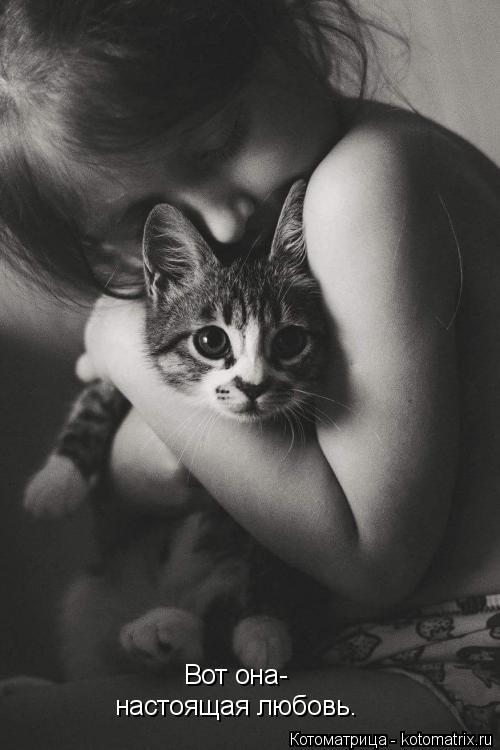 Котоматрица: Вот она- настоящая любовь.