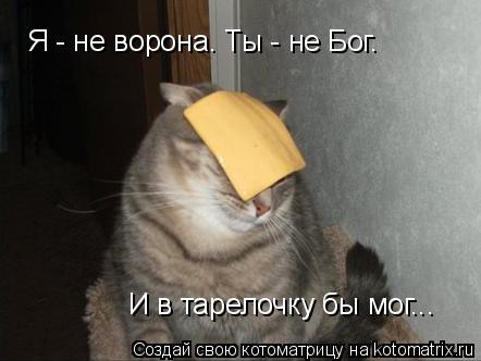 Котоматрица: Я - не ворона. Ты - не Бог. И в тарелочку бы мог...