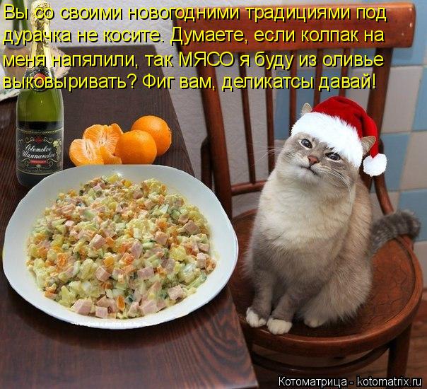 Котоматрица: Вы со своими новогодними традициями под дурачка не косите. Думаете, если колпак на меня напялили, так МЯСО я буду из оливье выковыривать? Фи