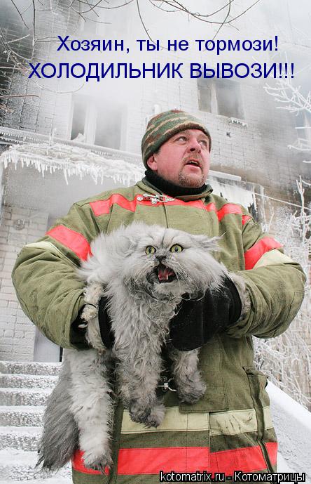 Котоматрица: Хозяин, ты не тормози! ХОЛОДИЛЬНИК ВЫВОЗИ!!!