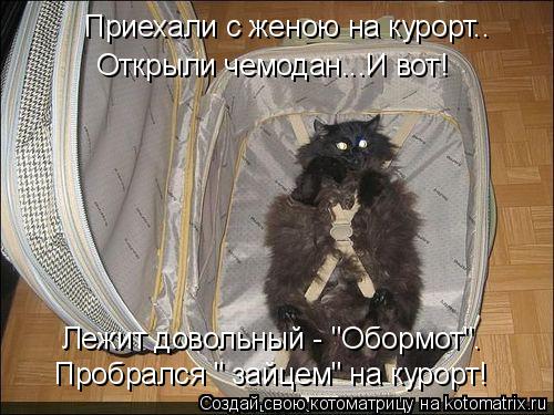 Котоматрица: Приехали с женою на курорт.. Открыли чемодан...И вот! Пробрался " зайцем" на курорт! Лежит довольный - "Обормот".