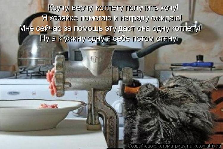 Котоматрица: Кручу, верчу, котлету получить хочу! Я хозяйке помогаю и награду ожидаю! Мне сейчас за помощь эту даст она одну котлету! Ну а к ужину одну я се