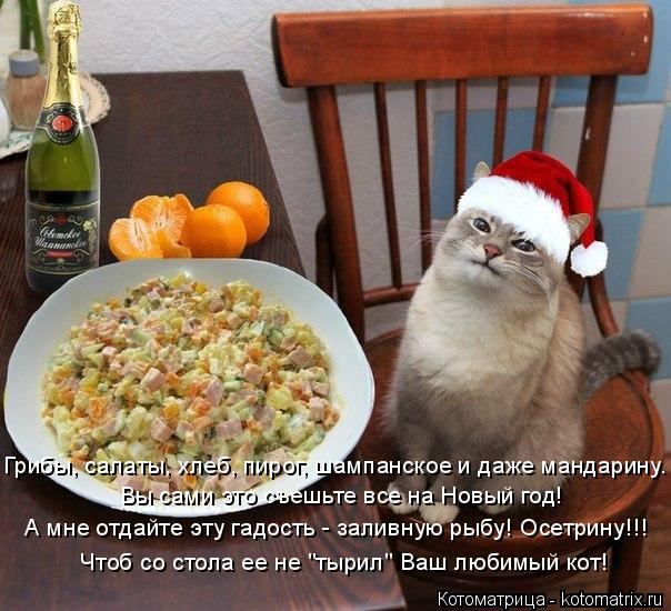 Котоматрица: Грибы, салаты, хлеб, пирог, шампанское и даже мандарину. Вы сами это съешьте все на Новый год! А мне отдайте эту гадость - заливную рыбу! Осетр