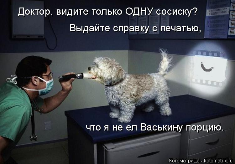 Котоматрица: Доктор, видите только ОДНУ сосиску? Выдайте справку с печатью, что я не ел Васькину порцию.
