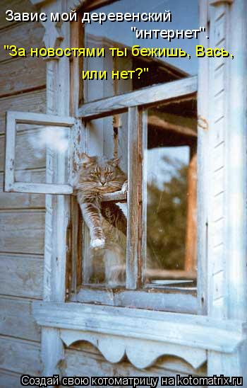 Котоматрица: Завис мой деревенский  "интернет". "За новостями ты бежишь, Вась, или нет?"