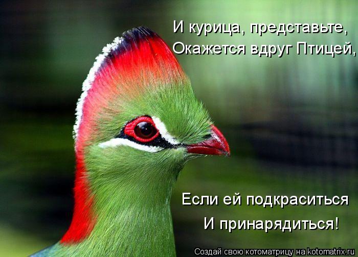 И принарядиться! Если ей подкраситься Окажется вдруг Птицей, И курица, представьте,... Котоматрица: И принарядиться! Если ей подкраситься Окажется вдруг Птицей, И курица, представьте,