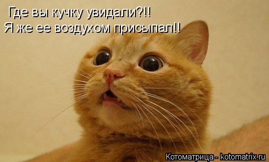 Котоматрица: Где вы кучку увидали?!! Я же ее воздухом присыпал!!