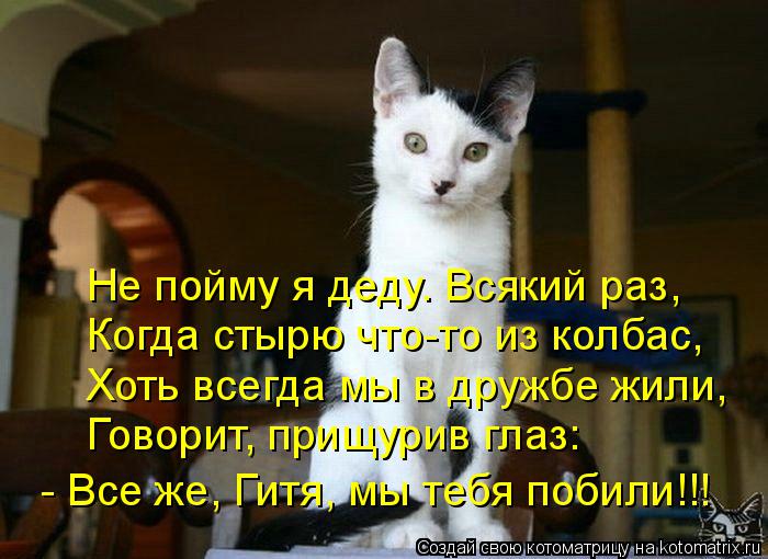 Котоматрица: Не пойму я деду. Всякий раз,  Когда стырю что-то из колбас, Хоть всегда мы в дружбе жили, Говорит, прищурив глаз: - Все же, Гитя, мы тебя побили!!!