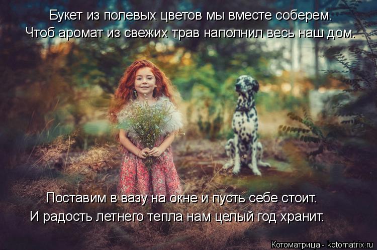 Котоматрица: Чтоб аромат из свежих трав наполнил весь наш дом. Букет из полевых цветов мы вместе соберем. Поставим в вазу на окне и пусть себе стоит. И рад