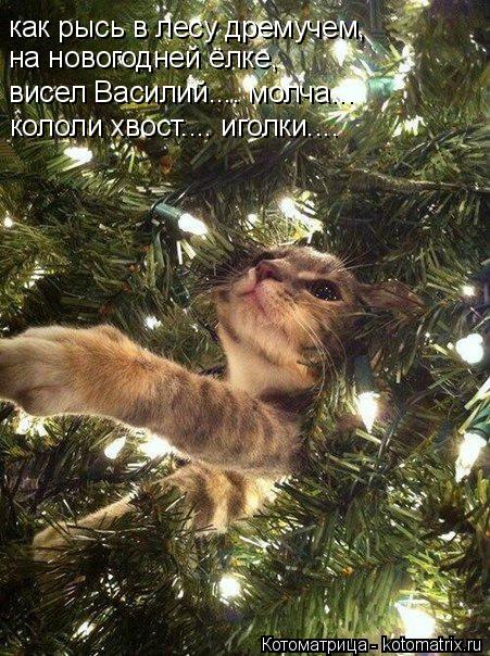 Котоматрица: как рысь в лесу дремучем, на новогодней ёлке, висел Василий.... молча... кололи хвост.... иголки....