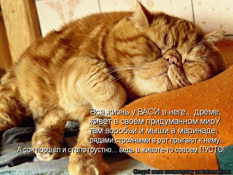 Вся жизнь у ВАСИ в неге... дрёме, живёт в своём придуманном мирУ, там воробьи и мыши в маринаде, ряда... Котоматрица: Вся жизнь у ВАСИ в неге... дрёме, живёт в своём придуманном мирУ, там воробьи и мыши в маринаде, рядами стройными в рот прыгают к нему... А сон п