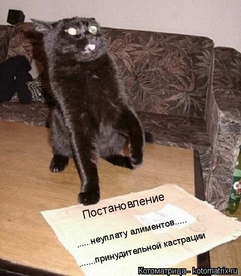 Котоматрица: Постановление ..... неуплату алиментов..... .......принудительной кастрации