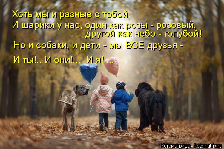 Котоматрица: Хоть мы и разные с тобой, И шарики у нас, один как розы - розовый,   другой как небо - голубой! Но и собаки, и дети - мы ВСЕ друзья -  И ты!.. И они!.... 