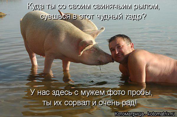 Котоматрица: Куда ты со своим свинячьим рылом, суешься в этот чудный кадр? У нас здесь с мужем фото пробы, ты их сорвал и очень рад!