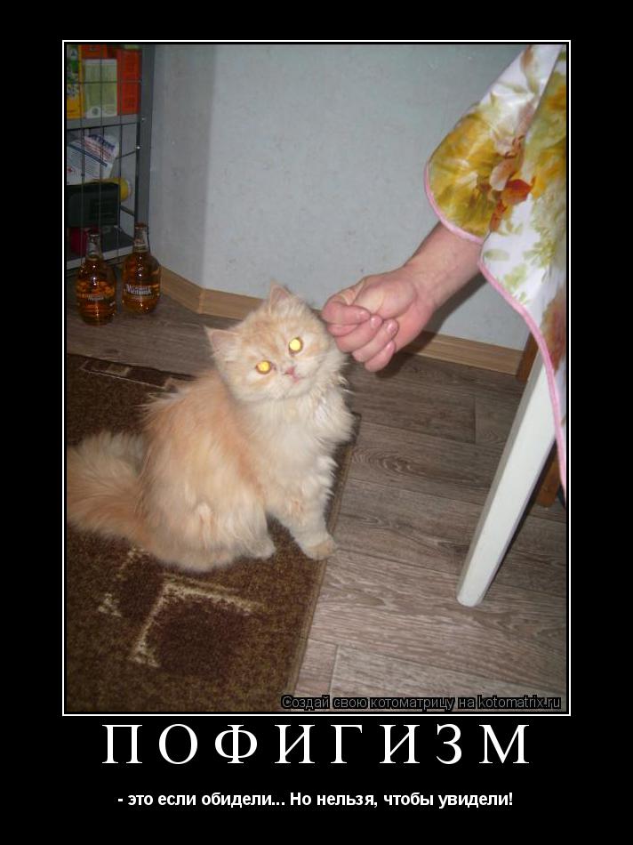 Котоматрица: ПОФИГИЗМ - это если обидели... Но нельзя, чтобы увидели!