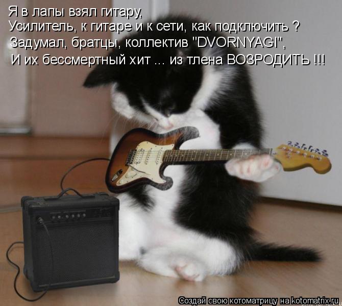 Котоматрица: Я в лапы взял гитару, Усилитель, к гитаре и к сети, как подключить ? Задумал, братцы, коллектив "DVORNYAGI", И их бессмертный хит ... из тлена ВОЗРОДИ