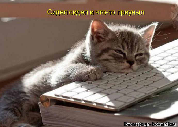 Котоматрица: Сидел сидел и что-то приуныл