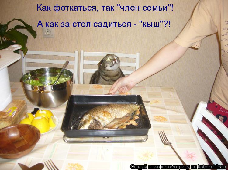 Котоматрица: Как фоткаться, так "член семьи"! А как за стол садиться - "кыш"?!