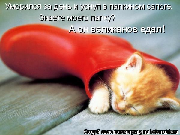 Котоматрица: Уморился за день и уснул в папкином сапоге. Знаете моего папку? А он великанов едал!