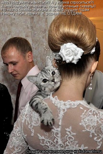 -Что? Надумали жениться? А у котика спроситься?! А чтоб свадьбу отмечать - прежде котеньке сказать!! ... Котоматрица: -Что? Надумали жениться? А у котика спроситься?! А чтоб свадьбу отмечать - прежде котеньке сказать!! Но назло семейной жизни и всем будущим го