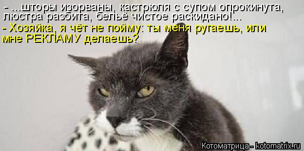 - ...шторы изорваны, кастрюля с супом опрокинута, люстра разбита, бельё чистое раскидано!... - Хозяй... Котоматрица: - ...шторы изорваны, кастрюля с супом опрокинута, люстра разбита, бельё чистое раскидано!... - Хозяйка, я чёт не пойму: ты меня ругаешь, или мне Р