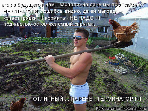 Котоматрица: его из будущего к нам.. заслали, на даче мы про "скАйнет" НЕ СЛЫХАЛИ... ошибка, видно, да ей мы рады -  копает грядки !!! кормить - НЕ НАДО !!! под пло