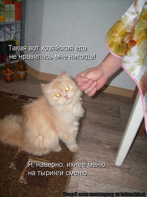 Котоматрица: Такая вот хозяйская еда не нравилась мне никогда! Я, наверно, ихнее меню на тыринги сменю...
