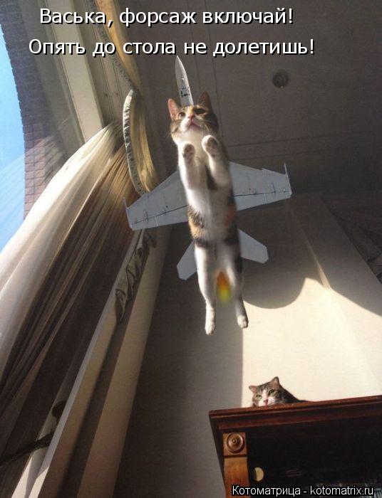 Котоматрица: Васька, форсаж включай!  Опять до стола не долетишь!