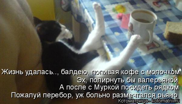Котоматрица: Жизнь удалась.., балдею, попивая кофе с молочком А после с Муркой посидеть рядком Эх, полирнуть бы валерьяной Пожалуй перебор, уж больно разм