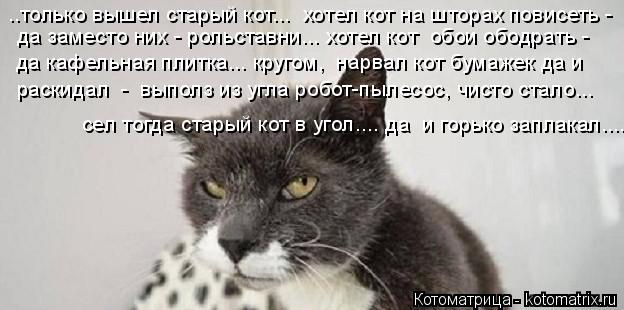 Котоматрица: ..только вышел старый кот...  хотел кот на шторах повисеть - да заместо них - рольставни... хотел кот  обои ободрать -  да кафельная плитка... круг