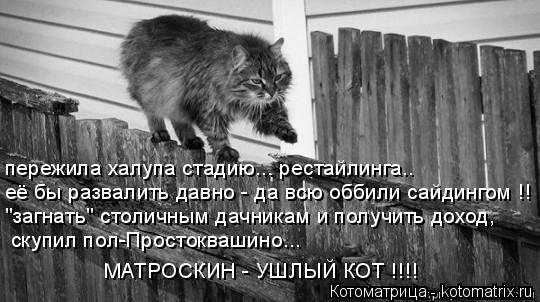 Котоматрица: пережила халупа стадию... рестайлинга.. её бы развалить давно - да всю оббили сайдингом !! "загнать" столичным дачникам и получить доход, скупи
