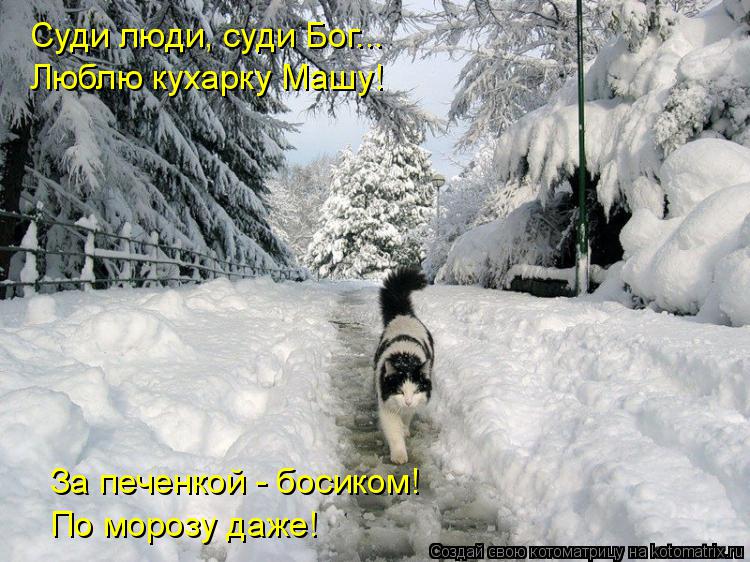 Суди люди, суди Бог... Люблю кухарку Машу! За печенкой - босиком! По морозу даже!... Котоматрица: Суди люди, суди Бог... Люблю кухарку Машу! За печенкой - босиком! По морозу даже!
