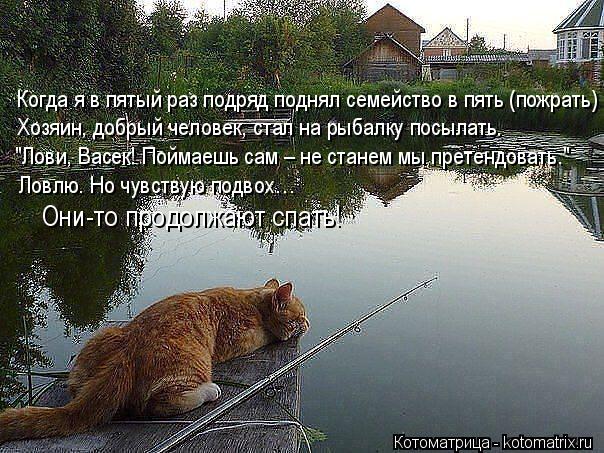 Котоматрица: Когда я в пятый раз подряд поднял семейство в пять (пожрать) Хозяин, добрый человек, стал на рыбалку посылать. "Лови, Васек! Поймаешь сам – не 