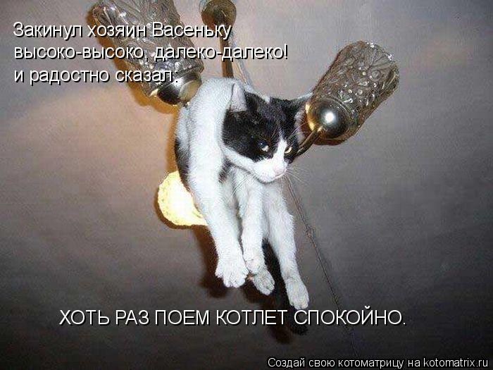 Котоматрица: Закинул хозяин Васеньку  высоко-высоко, далеко-далеко! и радостно сказал: ХОТЬ РАЗ ПОЕМ КОТЛЕТ СПОКОЙНО.