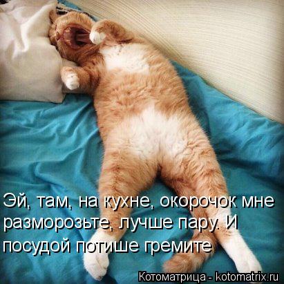 Котоматрица: Эй, там, на кухне, окорочок мне разморозьте, лучше пару. И посудой потише гремите