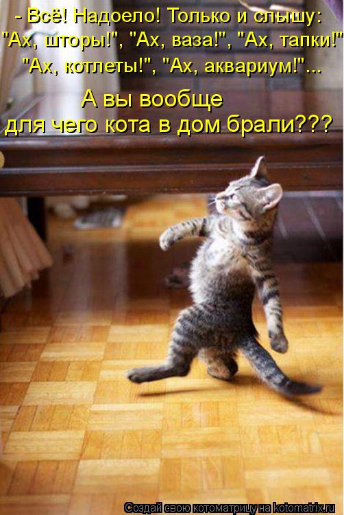 Котоматрица: - Всё! Надоело! Только и слышу: "Ах, шторы!", "Ах, ваза!", "Ах, тапки!" "Ах, котлеты!", "Ах, аквариум!"... А вы вообще  для чего кота в дом брали???