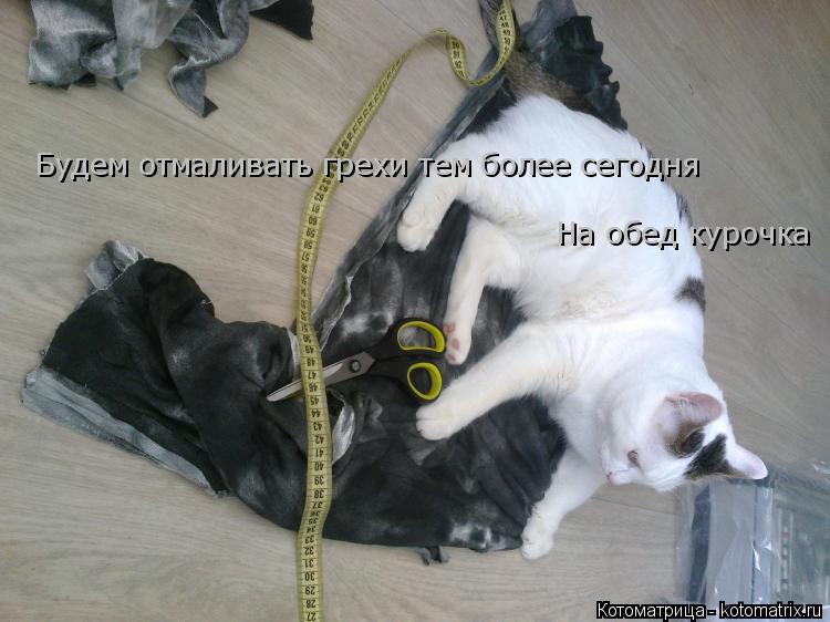 Котоматрица: Будем отмаливать грехи тем более сегодня На обед курочка