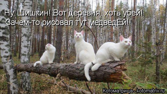 Котоматрица: Ну, Шишкин! Вот деревня, хоть убей! Зачем-то рисовал тут медведЕй!!